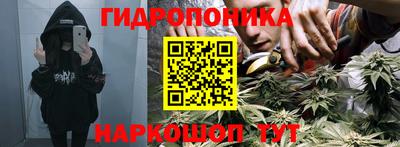 стаф Свободный