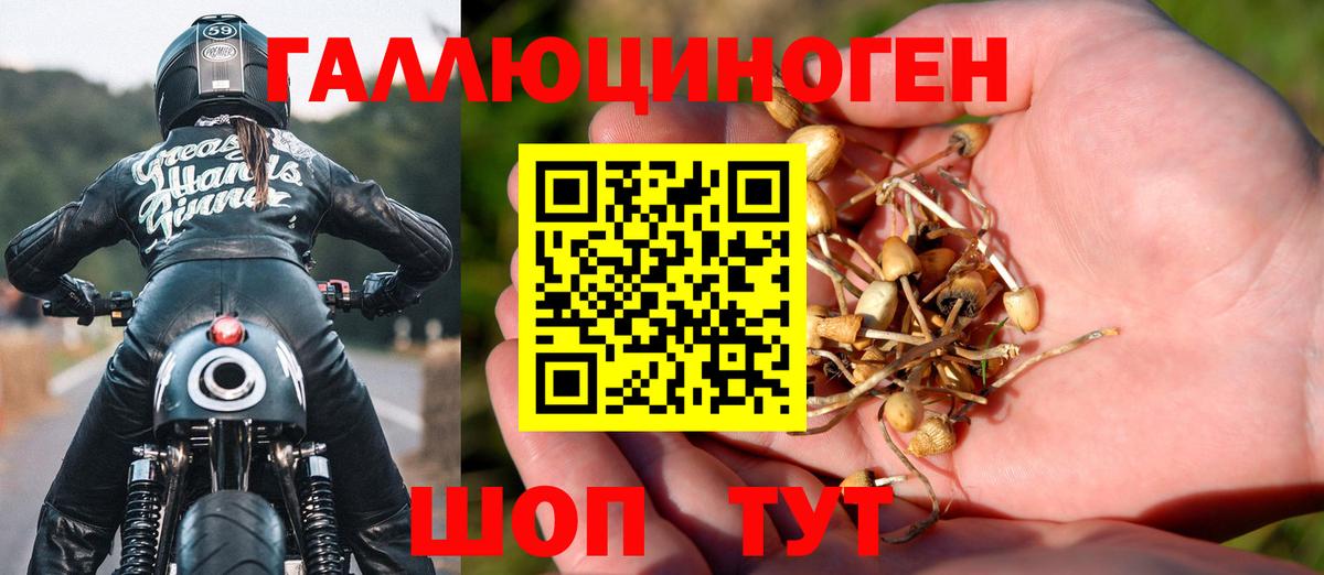 Галлюциногенные грибы MAGIC MUSHROOMS  Вход с VPN  Галлюциногенные грибы Psilocybe  Мурманск 